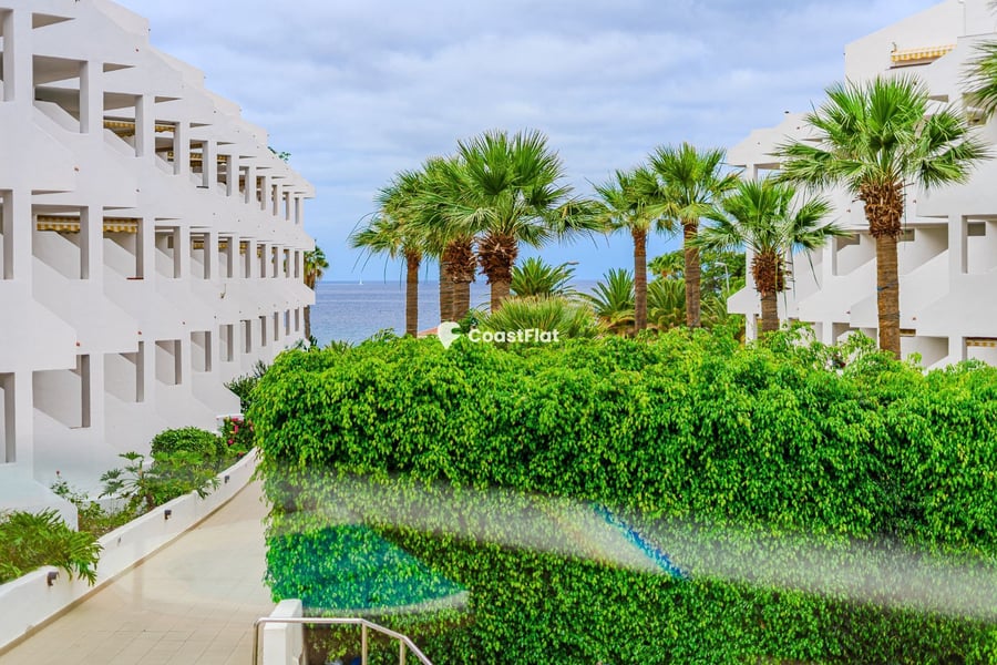 Studio in Los Cristianos. – 2
